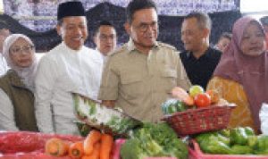 fa7e1b61395914f96091fc48987240bd_182x135